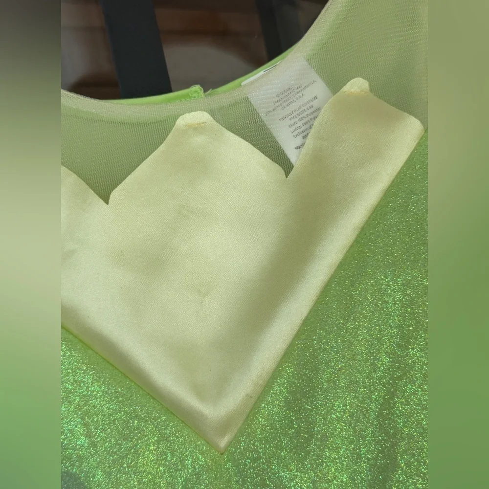 Disney Tiana Princess dress costume glitter toddler girl glitter & the frog